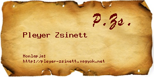 Pleyer Zsinett névjegykártya